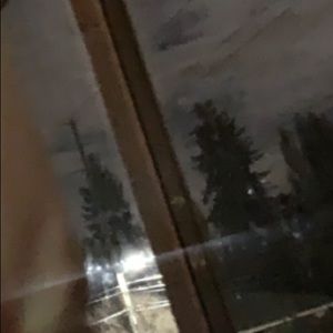 Meet your Posher, Bella